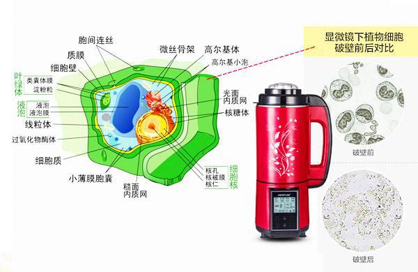 中國民族品牌網 中國民族品牌網