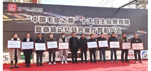 南莊鎮桑坡村十大自主品牌榮耀出爐！