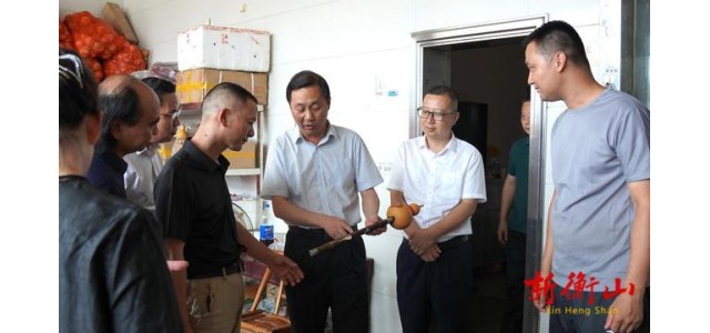 戴新賢在縣民族樂器制作協會調研時強調，振興民族樂器產業奏響了衡山發展的最強音。