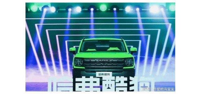 網友：長城啊長城，以前一直夸你，希望你扛起民族品牌的大旗