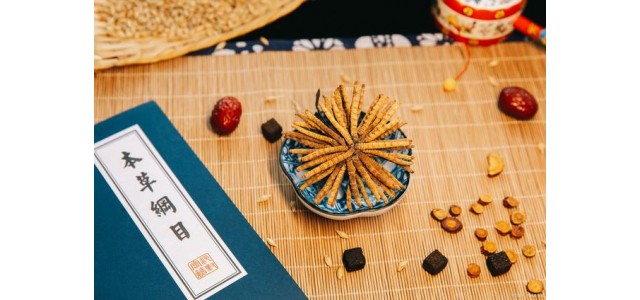 中藥第一民族品牌，股價從163元跌到53元，曾經的龍頭還能漲嗎？